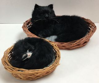 Realistic Cats In Baskets Set Of 2 Black Fur Lifelike Wicker Beds Awake Asleep