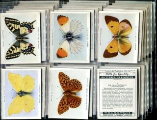Tobacco Card Set,  Wd & Ho Wills,  Butterflies & Moths,  Butterfly,  1938