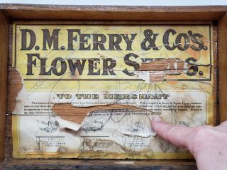 Antique 1906 D.  M.  Ferry & Co 