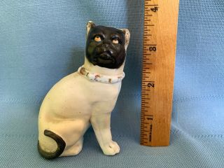 Antique Pug Dog Figurine Porcelain Bisque 3.  5 " Red Gold Collar Uncurled Tail