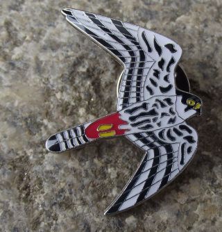 Hobby Falco Subbuteo Swift Falcon Eagle Hawk Raptor Prey Bird Brooch Pin Badge