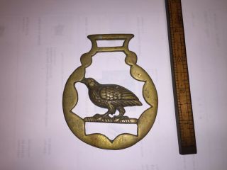 Vintage Brass Horse Equestrian Chest Badge Fob Of Bird