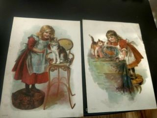 Victorian Trade Cards - C.  D.  Kenny Tea Dealer & Coffee Roaster - 2 Young Girl & Cat