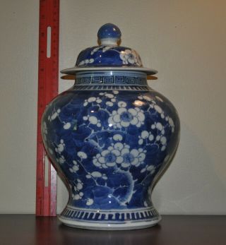 Qing 19c Chinese Blue White Prunus Tree Landscape Lidded Meiping Jar Vase