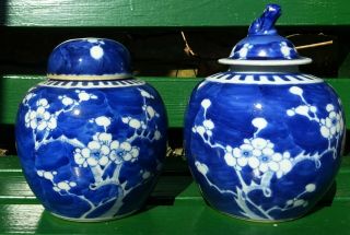 Antique Chinese Prunus Porcelain Ginger Jars With Kangxi Ring Marks