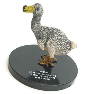 Extinct Animal Mini Figure Bird Dodo Raphus Cucullatus Takara Tomy Arts Japan
