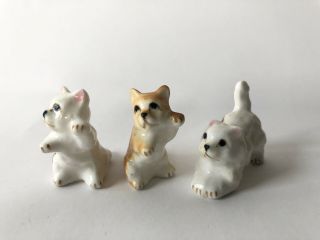 Vintage Bone China Kitten Cat Miniature Figurines Set Of 3 With Labels 3