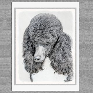 6 Standard Poodle Parti Black And White Dog Blank Art Note Greeting Cards