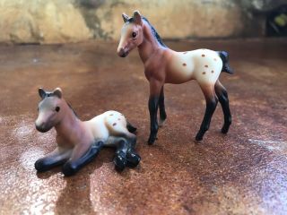 Breyer Stablemate Foals Appaloosa Foals G1 Perfect Con