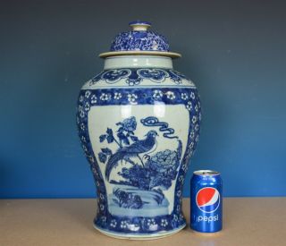 Magnificent Large Antique Chinese Blue And White Porcelain Vase G1628