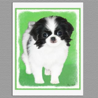 6 Japanese Chin Puppy Dog Blank Art Note Greeting Cards