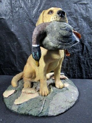 Labrador Lab Yellow Duck Hunting Dog With Mallard In Mouth Figure