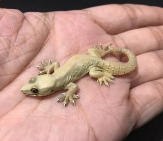 Kitan Club Schlegel’s Japanese House Gecko Lizard Magnet Figure A