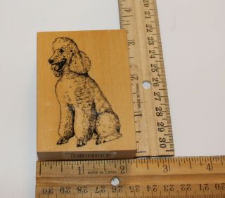 Standard Poodle Dog Rubber Stamp Breed Stamp Gallery Purebred Arts Crafts