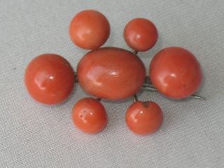 Antique Chinese Brooch 7 X Big Red Salmon Coral Ca.  1840 Wonderful Rare