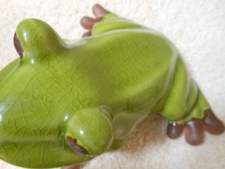 Rainforest Tree Frog Glazed Clay Figurine 4