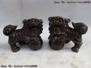 Chinese Copper Bronze Feng Shui Evil Kylin Kirin Foo Dog Lion Brave Troops Pair