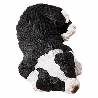Sandicast Figurine Sculpture: Border Collie Snoozer Dog (sz066)