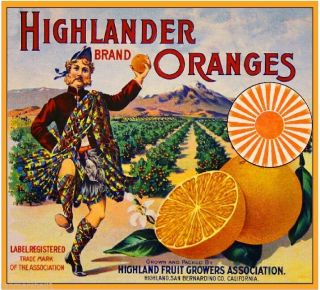 Highland Scottish Highlander Kilt Orange Citrus Fruit Crate Label Art Print
