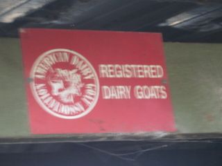 Vintage American Dairy Goat Sign Registered Dairy Goats From 1990 