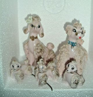 Vintage Pink Spaghetti Poodle Family Mom,  Dad And 3 Pups