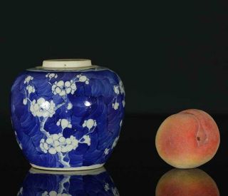 A Antique Chinese Porcelain Blue & White Prunes Jar 19th Century