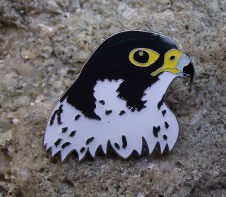 North American Peregrine Falcon Raptor Wildlife Protection Bird Brooch Pin Badge