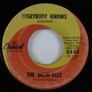 Northern Soul 45 Drew - Vels Everybody Knows Capitol Hear