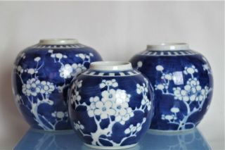 3 X Antique Chinese Blue/white Prunus Ginger Jars - With Blue Double Ring Mark