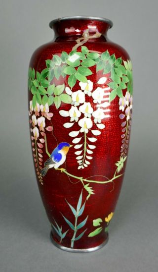 Fine Old Japanese Cloisonne Enamel Hanging Wisteria & Finch Bird Silver Rim Vase