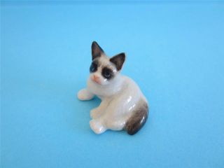 Little Critterz Persian Cat " Grumpy " The One And Only Famous Grumpy Cat Figurine