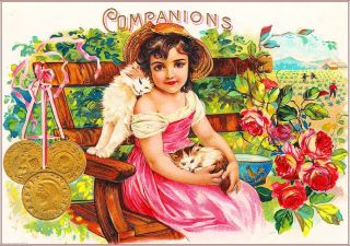 Companions Little Girl & Kitten Cats Vintage Cigar Tobacco Box Crate Label Print