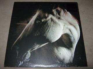Brother Dege How To Kill A Horse Clear Vinyl Lp Limited Ed Rsd 2015