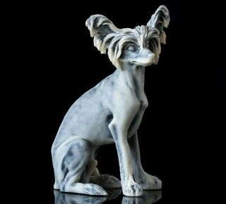 Marble Chinese Crested Statue Russian Stone Art Miniature Realistic Dog Figurine