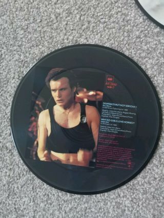 Adam Ant Vinyl Picture Disc Bundle Inc Puss ' n ' Boots/friend Or Die And Others 4