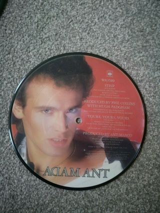 Adam Ant Vinyl Picture Disc Bundle Inc Puss ' n ' Boots/friend Or Die And Others 5