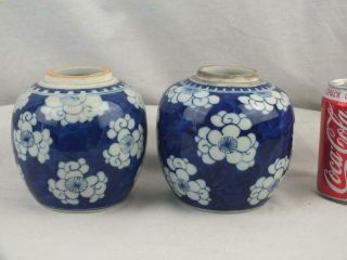 Two 19th C Chinese Porcelain Blue & White Prunus Blossom Jars - Circle Marks