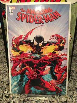 The Spider - Man 800 Mike Mayhew Variant (2018)