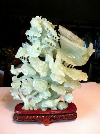 Antique / Vintage Asian / Chinese Translucent Jadeite Jade Bird &tree Sculpture
