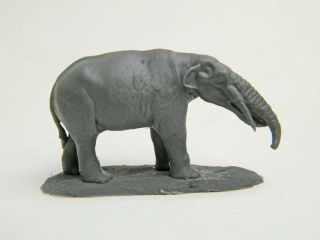 Gomphotherium Angustidens Resin Model 1/48 Scale Very Detailed