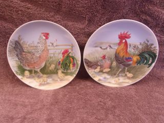 Country Decorative Rooster,  Hen,  Baby Chicks Ceramic Plates 8 " Japan