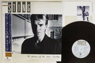 Sting Dream Of The Blue Turtles A&m Amp - 28125 Japan Obi Vinyl Lp