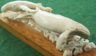 Large Hand Carved Scrimshaw Statue Of A Pod Of Whales In Cervid Bone Antler 2