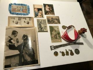 Antique Dog Memorabilia - Ephemera - Trade Cards - Collars For Small Dogs - License Tags