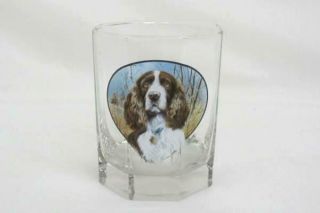 James Killen Springer Spaniel Portrait Drinkware Glass Collectible Dog Lover