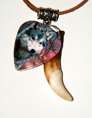 Gray Wolf Necklace & Real Coyote Tooth Wolf Picture Pick 25 " Leather Choker
