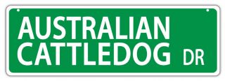 Plastic Street Signs: Australian Cattledog Drive (cattle Dog) | Dogs