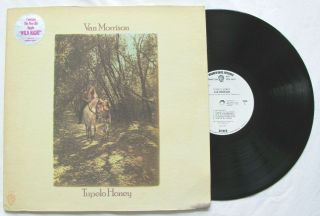 Van Morrison - Tupelo Honey - Orig 1971 Warner Wlp 1a Promo Lp Hype Poster Ex Rare