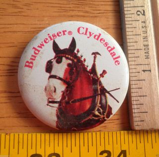Vintage Budweiser Clydesdale Horse Beer Pinback Button 1.  5 " 1970 