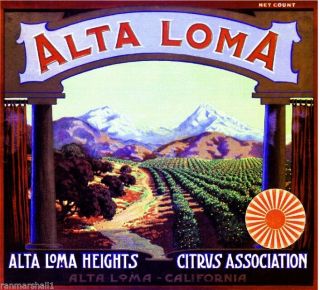 Alta Loma Heights San Bernardino Orange Citrus Fruit Crate Label Art Print